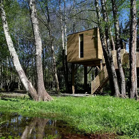 Secluded And Elegant Tree House In The Forests Of Galicia, Spain A Coruna