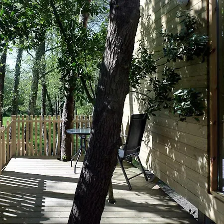 Secluded And Elegant Tree House In The Forests Of Galicia, Spain A Coruna